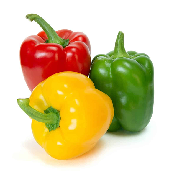 Bell pepper